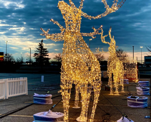 Nights_of_Lights